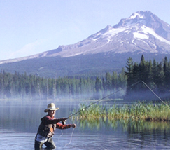 Negative Ions are most abundant in fresh air