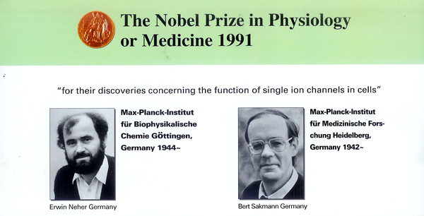 Negative Ions and the Nobel Prize